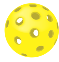 Pickleball Path